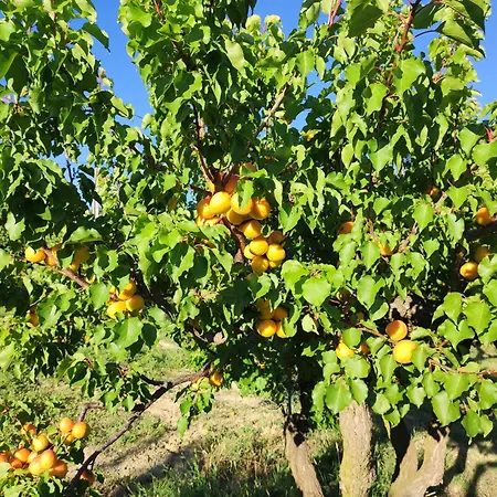 Casa de Férias Terre De Lumiere Nyons