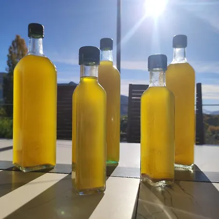 Hébergement de vacances Terre De Lumière