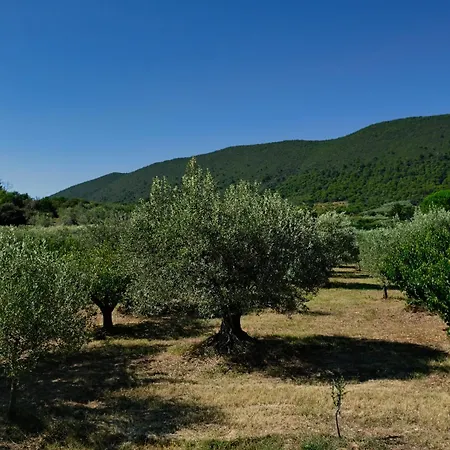 Hébergement de vacances Terre De Lumière Nyons