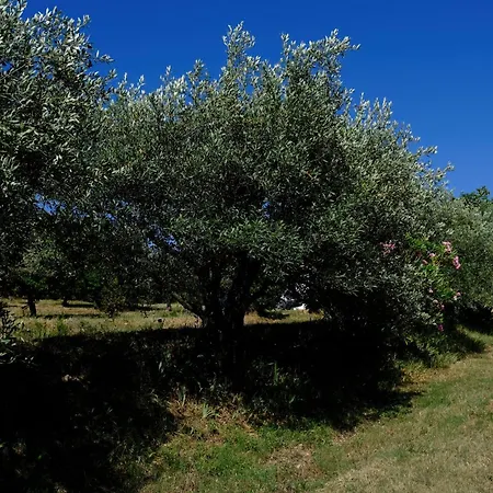 Terre De Lumière Hébergement de vacances Nyons